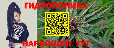 apvp Можга