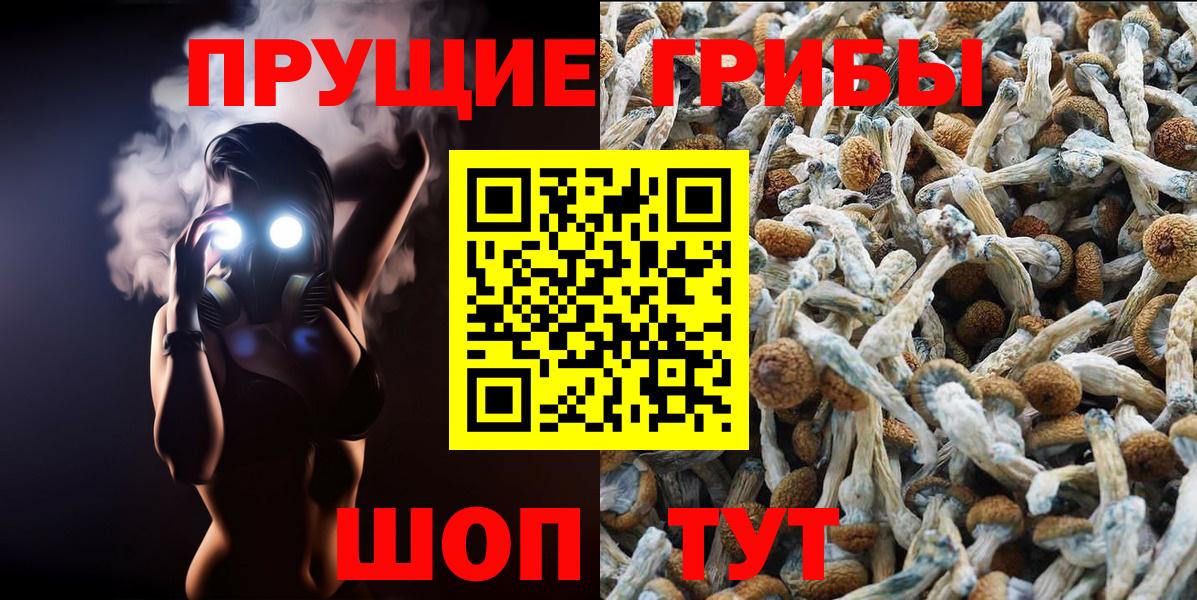 купить наркотики сайты  Вход с VPN  Симферополь  Галлюциногенные грибы Magic Shrooms 